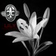 Silver Liliy Ring LILY - Silverring